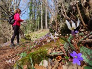 72 Rientriamo dal sent. 595 (variante alta) ben fiorito